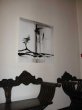 redim_verona mostra 036